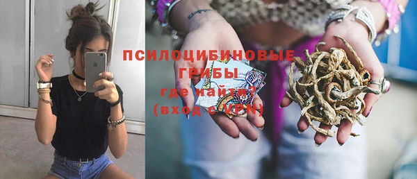 амф Арсеньев