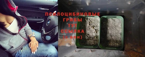 дурь Армянск