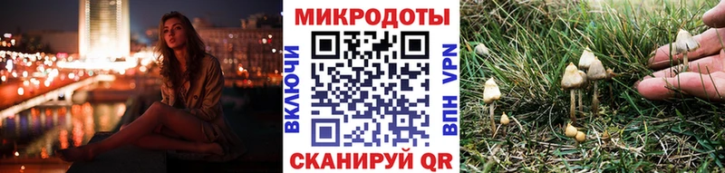 Галлюциногенные грибы Psilocybine cubensis продажа наркотиков Сосенский